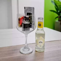 Amazonian Tonic – Kit de Coctel con Gin Selva (207 ml), Agua Tónica MIL 976, Pulpa de Frutas Exóticas y Frutas Deshidratadas – Coctel para preparar.