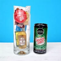 Chivas Ginger Ale – Chivas Regal 12 años (2) (1)-min