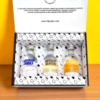 Caja con mini botellas de vodka (14)-min