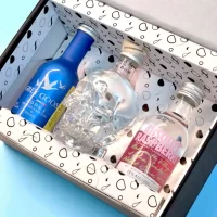 Descubre el estuche premium con mini botellas de vodka Crystal Head, Grey Goose y Absolut Raspberri. Regalo elegante y moderno para amantes del vodka – 78 Grados Deluxe