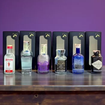 Combo con mini botellas de ginebras. Beeafeter (50mL), The London N1 (50mL), Akori Gin (50mL), Gin Selva (50mL), Hendricks Gin (50mL)