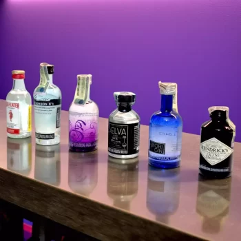 Combo con mini botellas de ginebras. Beeafeter (50mL), The London N1 (50mL), Akori Gin (50mL), Gin Selva (50mL), Hendricks Gin (50mL)
