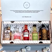 Sweet Spirits es un estuche de mini botellas dulces con Campari, Jack Daniel’s Apple, Absolut Raspberri, Tequila Distales con café y Coffee 8. Un regalo moderno y delicioso – 78 Grados Deluxe